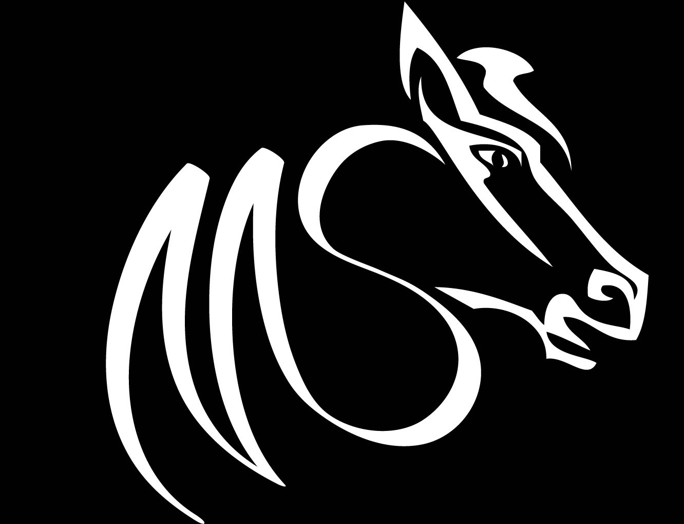 MSHorse